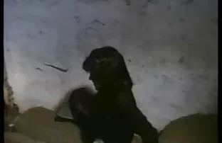XXX روزها عکس دخترای کون گنده چوبی