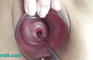XXX زن خانه دار گربه عکس سکس کونهای بزرگ را آزار می دهد